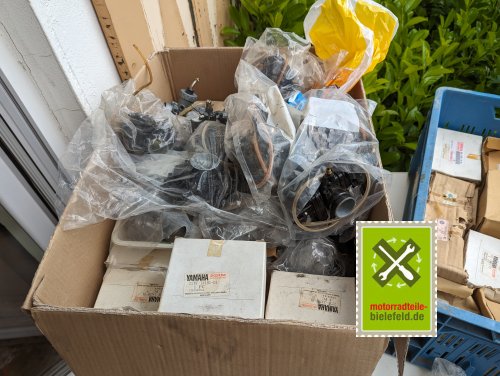 PXL_20240517_105756424